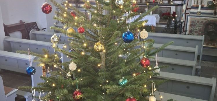 Alle Jahre wieder ! Alle Jahre wieder !