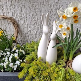 Frohe Ostern!