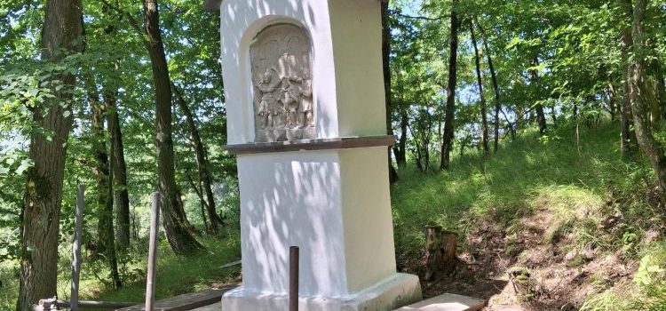 Renovierung der Fußfälle