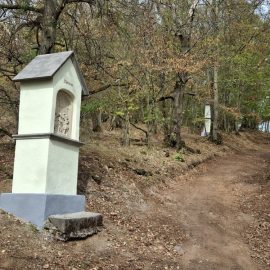 Renovierung der Fußfälle